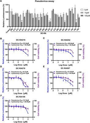 Structure-Based Virtual Screening and Identification of Potential Inhibitors of SARS-CoV-2 S-RBD and ACE2 Interaction